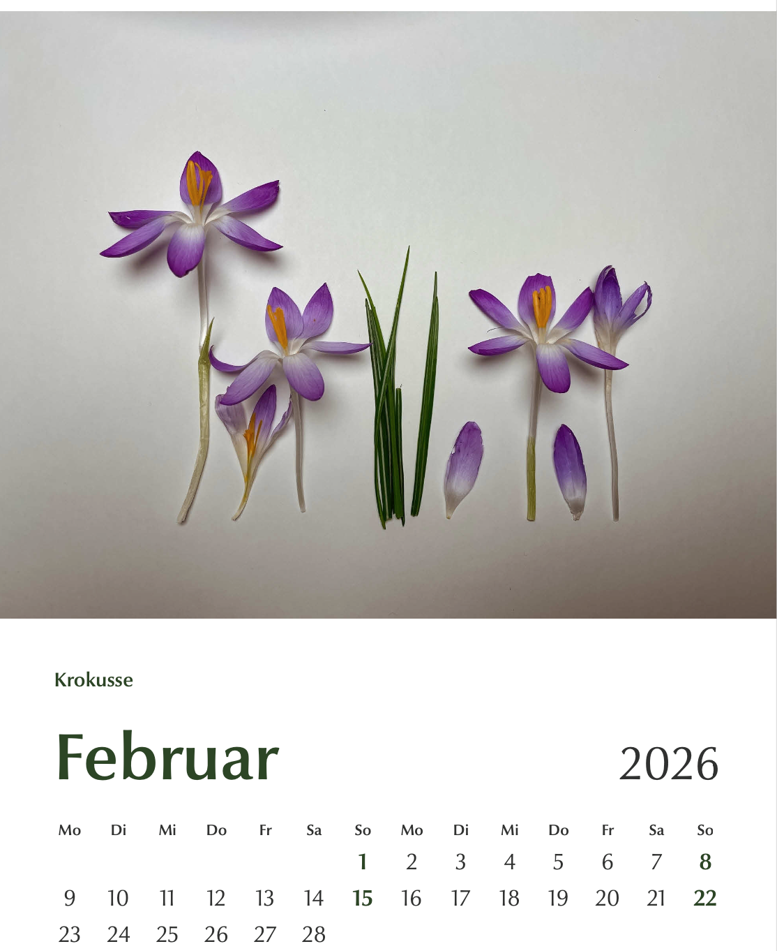 Blühbild-Kalender 2026