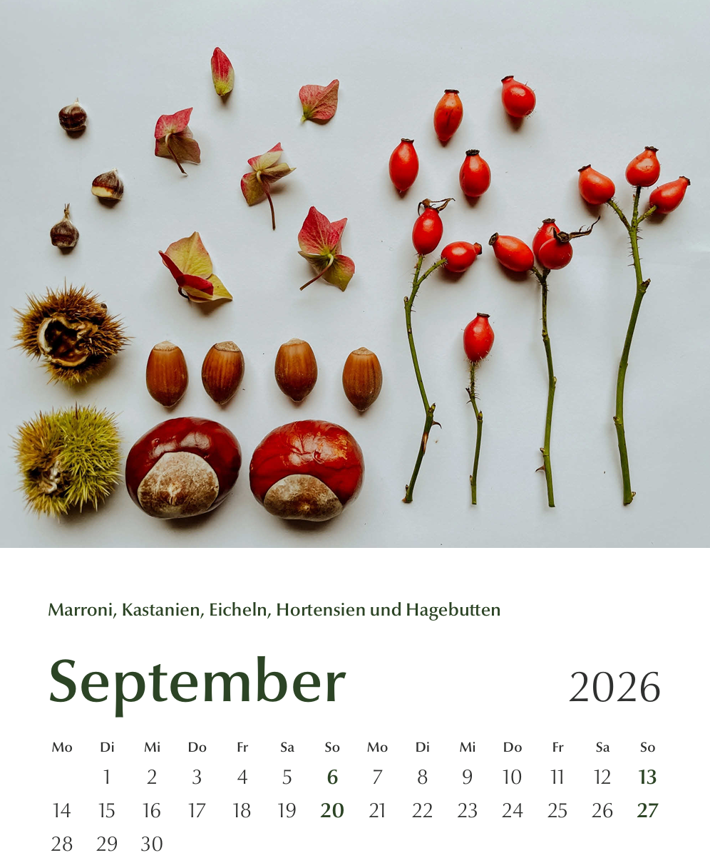 Blühbild-Kalender 2026