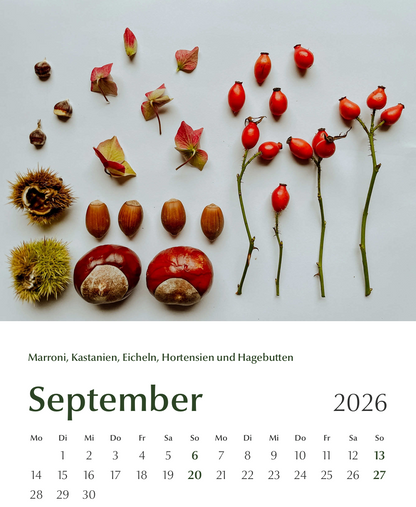 Blühbild-Kalender 2026