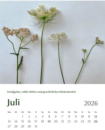 Blühbild-Kalender 2026